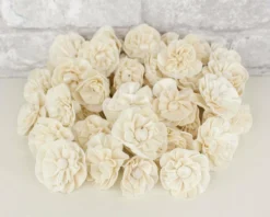 1.5" Beatrice - 50 Pack