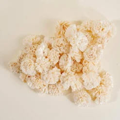 1.5" Carnation - 50 Pack