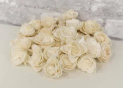 1.5" Lotus - 50 Pack -plant sale shop 15 lotus 50 pack 153395