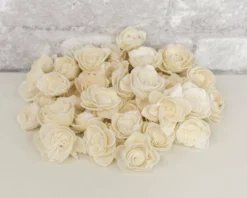 1.5" Lotus - 50 Pack -plant sale shop 15 lotus 50 pack 878697