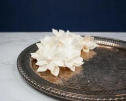 1.5" Scarlet (10 Pack)