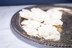 plant sale shop 51 2" Butterfly Ranunculus (10 Pack)