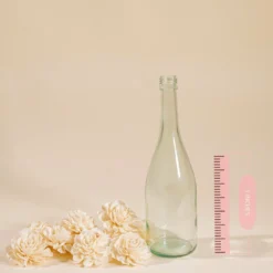 2" Dahlia - 50 Pack -plant sale shop 2 dahlia 50 pack 177179