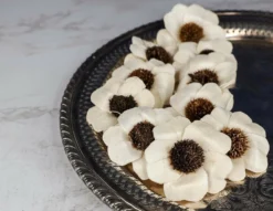 2" Heart Daisy (10 Pack) -plant sale shop 2 heart daisy 10 pack 591959