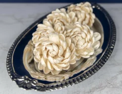 2" Lillian (10 Pack) 6 2" Lillian (10 Pack) -plant sale shop 2 lillian 10 pack 138136