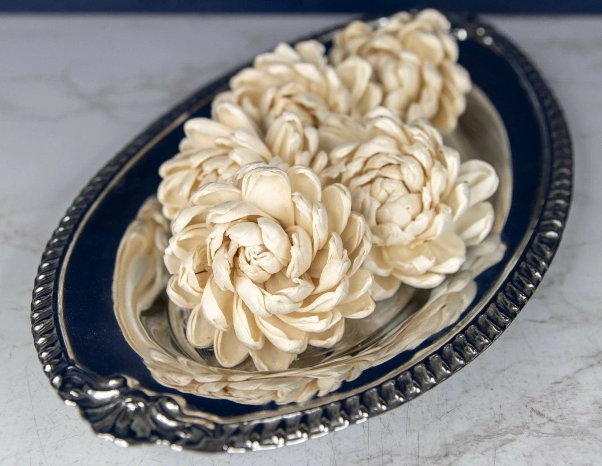 2" Lillian (10 Pack) 3 2" Lillian (10 Pack) - Image 3