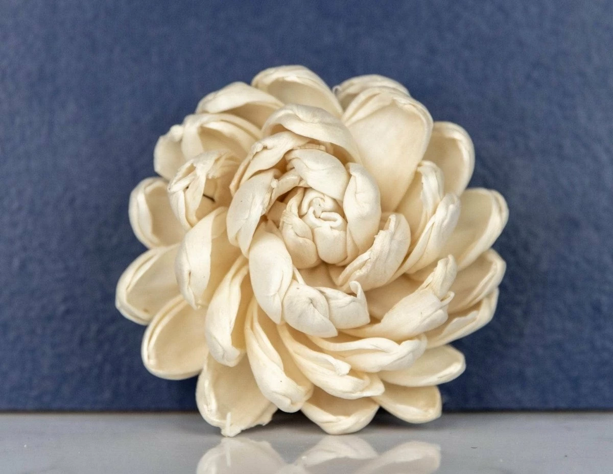 2" Lillian (10 Pack) 2 2" Lillian (10 Pack) - Image 2