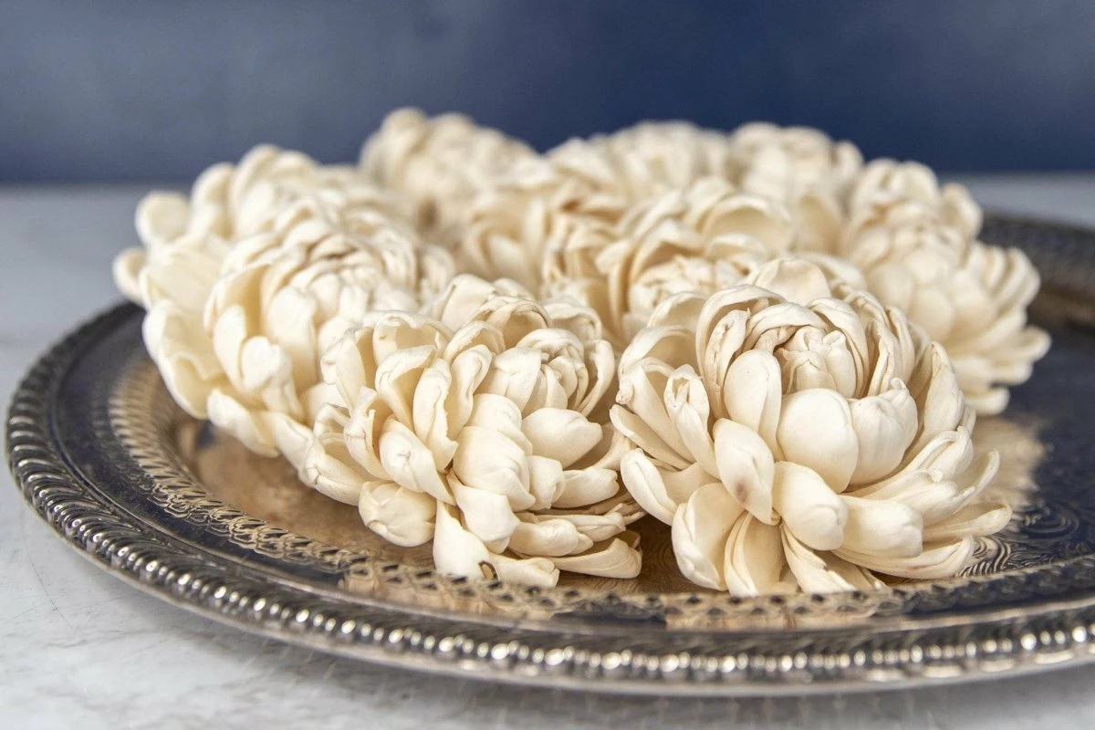 2" Lillian (10 Pack) 1 2" Lillian (10 Pack)