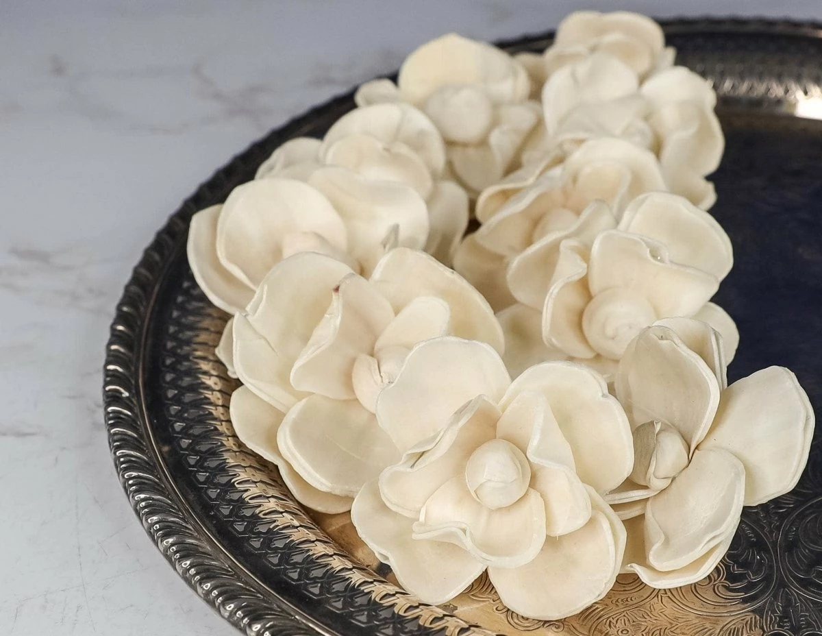 2" Magnolia (10 Pack) 4 2" Magnolia (10 Pack) - Image 4