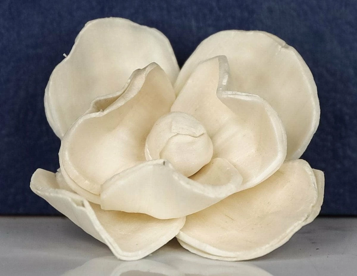 2" Magnolia (10 Pack) 2 2" Magnolia (10 Pack) - Image 2