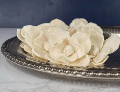 plant sale shop 43 2" Magnolia (10 Pack)