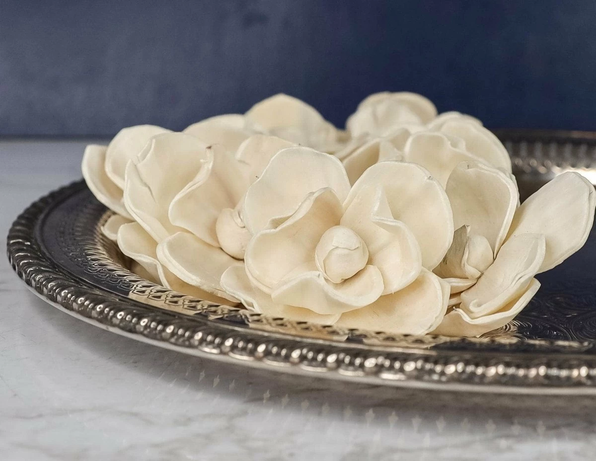 2" Magnolia (10 Pack) 1 2" Magnolia (10 Pack)