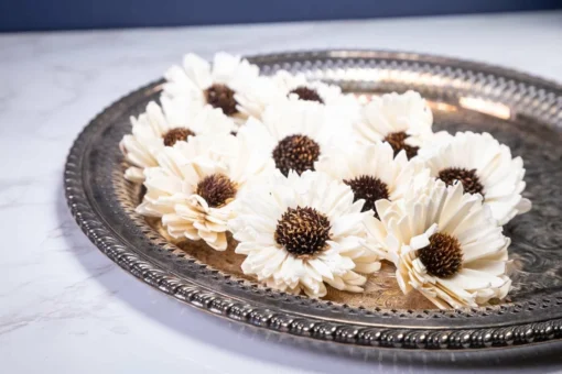 2" Mini Sunflower (10 Pack) 3 2" Mini Sunflower (10 Pack) -plant sale shop 2 mini sunflower 10 pack 761785