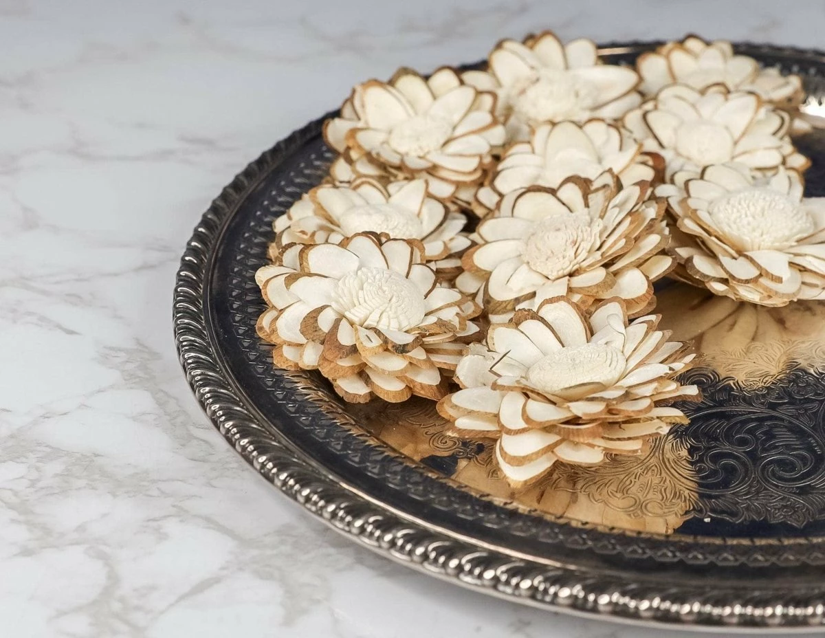 2" Penny (10 Pack) 1 2" Penny (10 Pack)