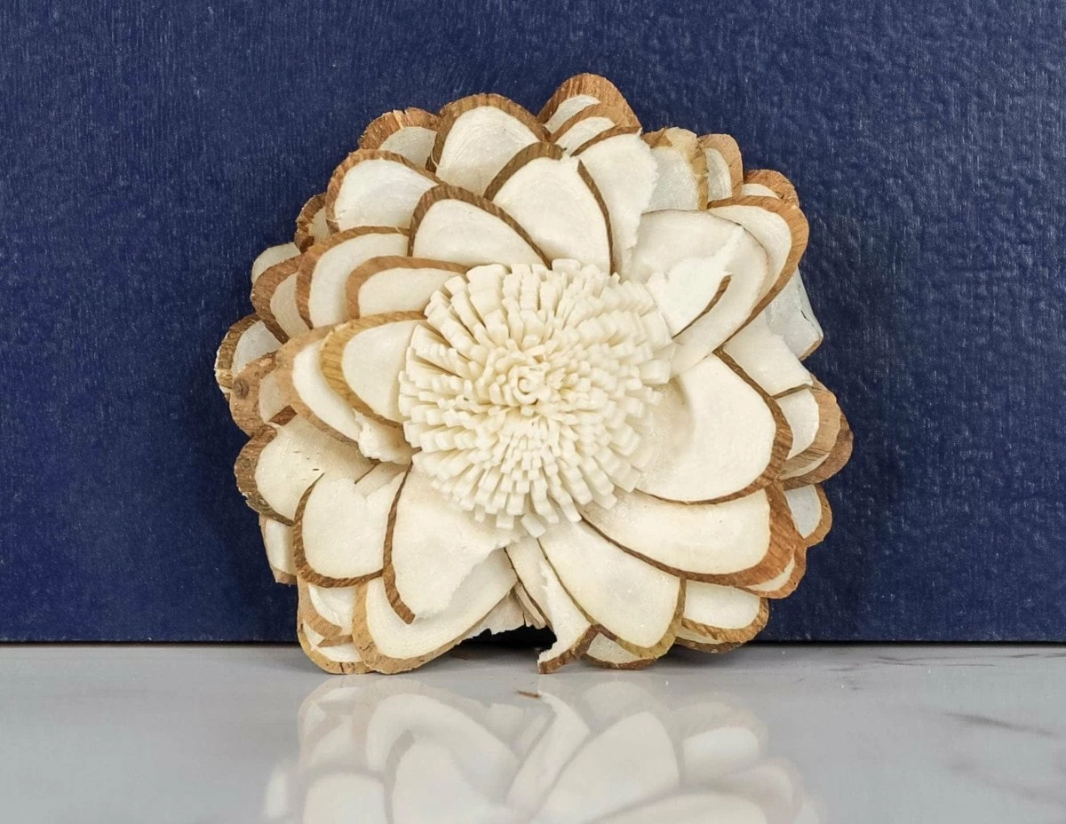 2" Penny (10 Pack) 2 2" Penny (10 Pack) - Image 2