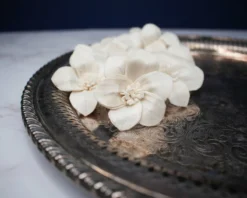 2" Stargazer Lily (10 Pack)