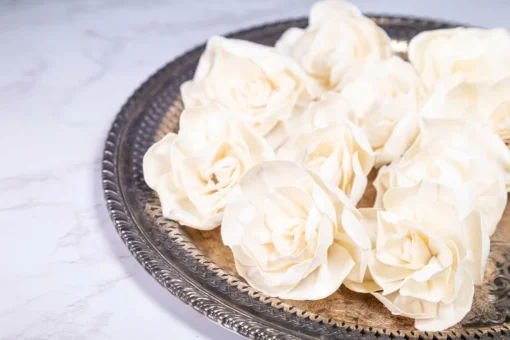 3" Aimee Gardenia (10 Pack) 4 3" Aimee Gardenia (10 Pack) -plant sale shop 3 aimee gardenia 10 pack 853942