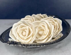 3" Bombay (10 Pack) -plant sale shop 3 bombay 10 pack 364307