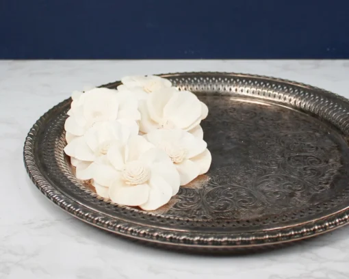 3" Cherry Blossom (10 Pack) 2 3" Cherry Blossom (10 Pack) -plant sale shop 3 cherry blossom 10 pack 645026