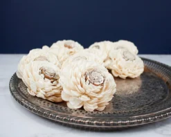 3" Coco Bali (10 Pack)