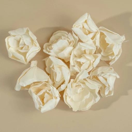 3" Crown Jewel Gardenia (10 Pack) 5 3" Crown Jewel Gardenia (10 Pack) -plant sale shop 3 crown jewel gardenia 10 pack 262128