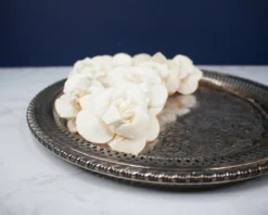 3" Daffodil (10 Pack)