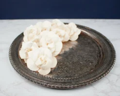 3" Daffodil (10 Pack) -plant sale shop 3 daffodil 10 pack 302223