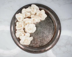 3" Daffodil (10 Pack) -plant sale shop 3 daffodil 10 pack 369652