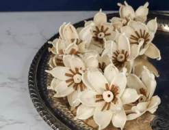 3" Gardenia (10 Pack) -plant sale shop 3 gardenia 10 pack 735592