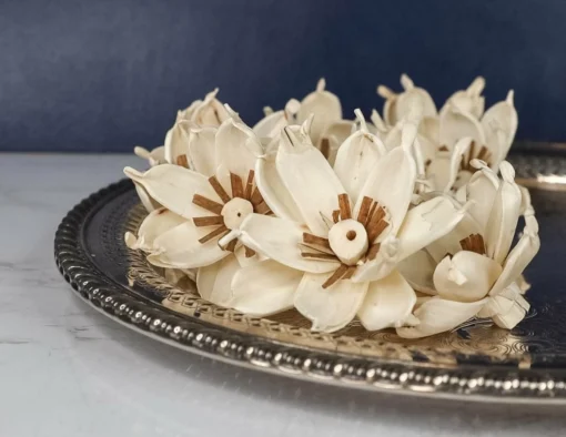 3" Gardenia (10 Pack) 1 3" Gardenia (10 Pack) -plant sale shop 3 gardenia 10 pack 735997