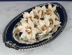 3" Gardenia (10 Pack) -plant sale shop 3 gardenia 10 pack 867034