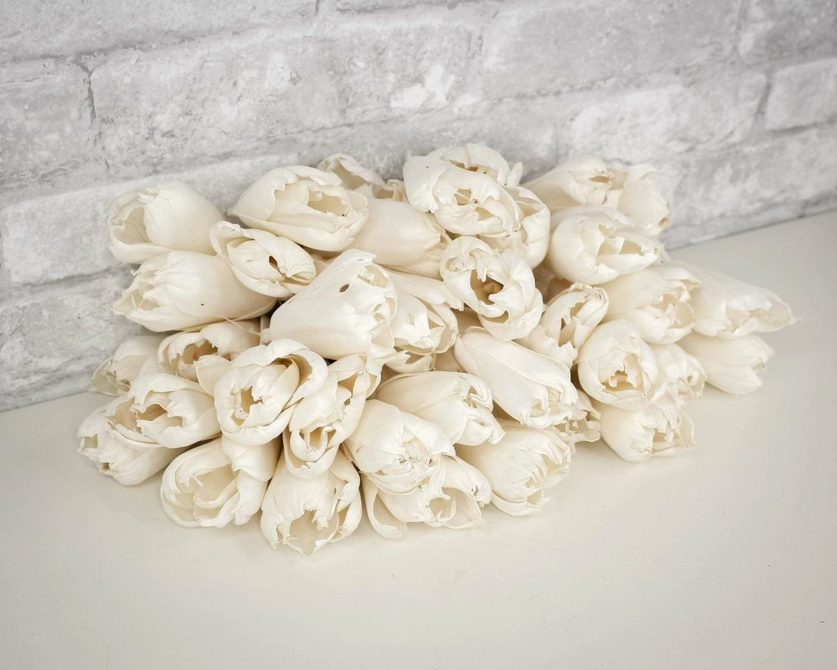 3" Precious Tulip - 50 Pack 5 3" Precious Tulip - 50 Pack - Image 5