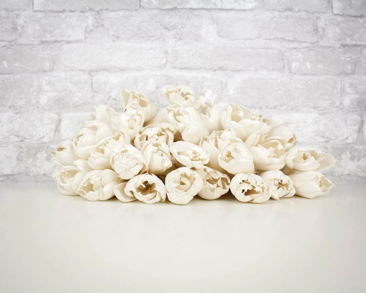 3" Precious Tulip - 50 Pack 1 3" Precious Tulip - 50 Pack