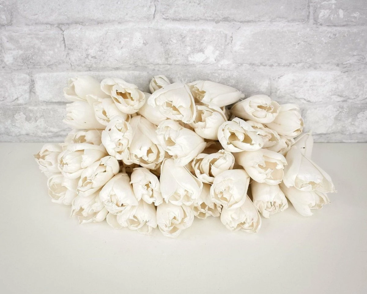 3" Precious Tulip - 50 Pack 6 3" Precious Tulip - 50 Pack - Image 6