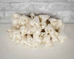 3" Precious Tulip - 50 Pack 8 3" Precious Tulip - 50 Pack -plant sale shop 3 precious tulip 50 pack 685647