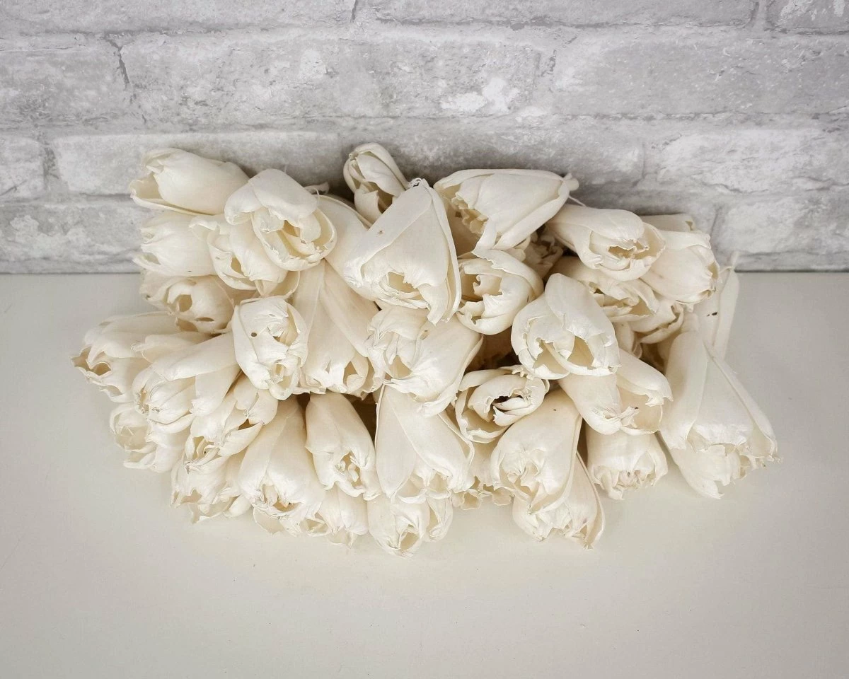 3" Precious Tulip - 50 Pack 3 3" Precious Tulip - 50 Pack - Image 3