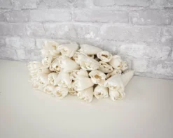 3" Precious Tulip - 50 Pack 9 3" Precious Tulip - 50 Pack -plant sale shop 3 precious tulip 50 pack 714073