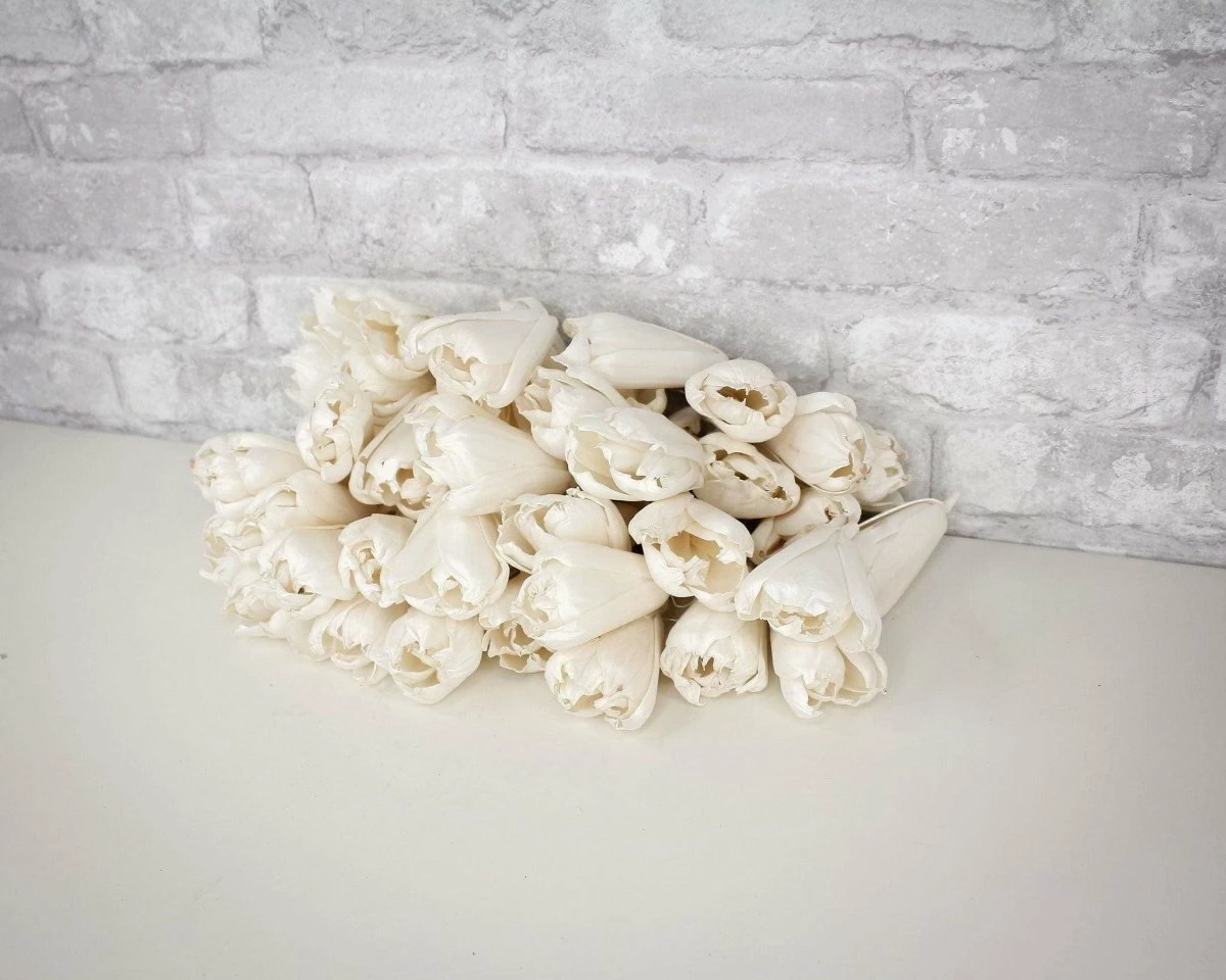 3" Precious Tulip - 50 Pack 4 3" Precious Tulip - 50 Pack - Image 4