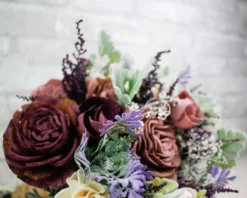 3" Wesley 50 Pack 15 3" Wesley 50 Pack -plant sale shop 3 wesley 50 pack 378315