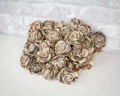 3" Wesley 50 Pack 14 3" Wesley 50 Pack -plant sale shop 3 wesley 50 pack 822693