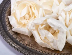 4" Crown Jewel Gardenia (10 Pack)