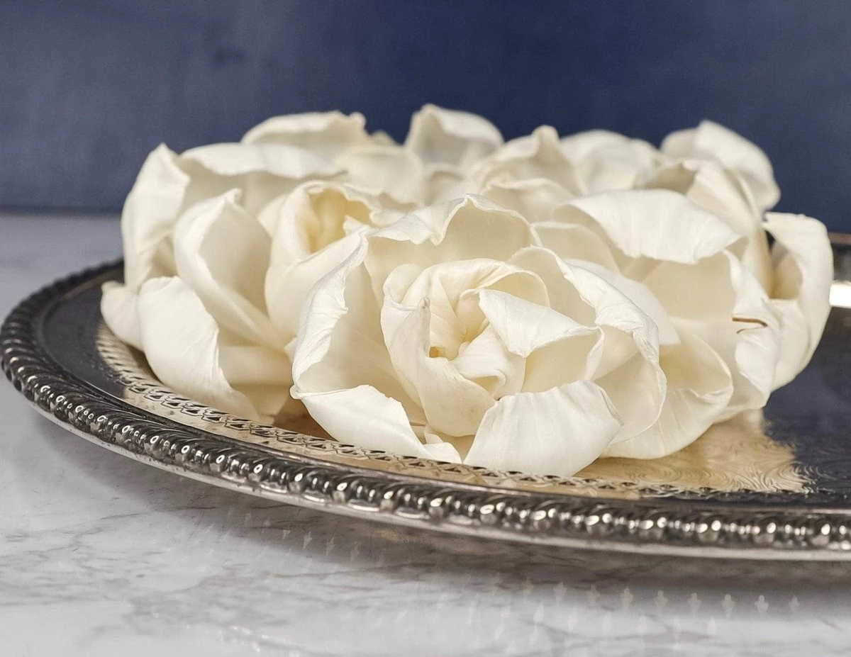 4" Lizzie (10 Pack) 1 4" Lizzie (10 Pack)