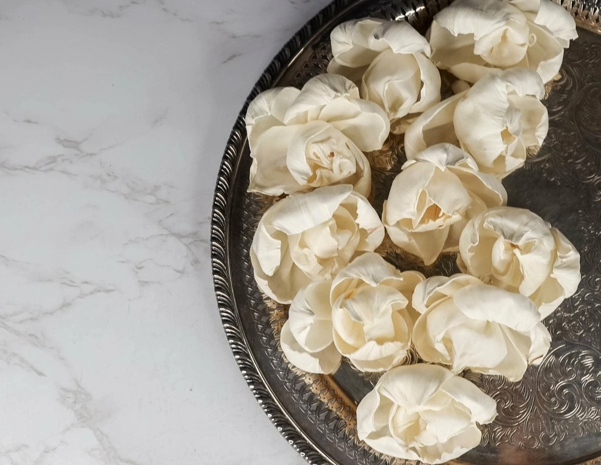 4" Lizzie (10 Pack) 2 4" Lizzie (10 Pack) - Image 2