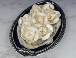 4" Lizzie (10 Pack) 6 4" Lizzie (10 Pack) -plant sale shop 4 lizzie 10 pack 769305