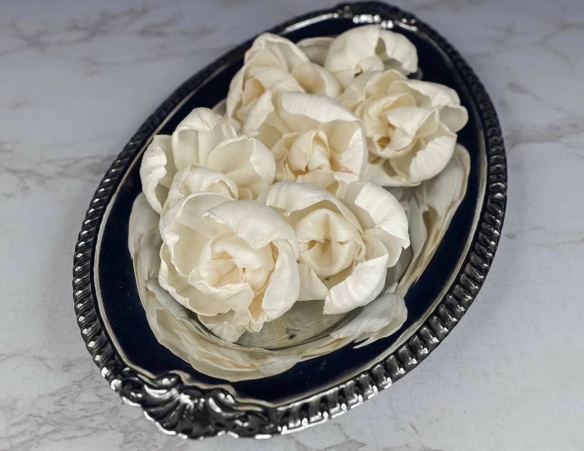 4" Lizzie (10 Pack) 3 4" Lizzie (10 Pack) - Image 3