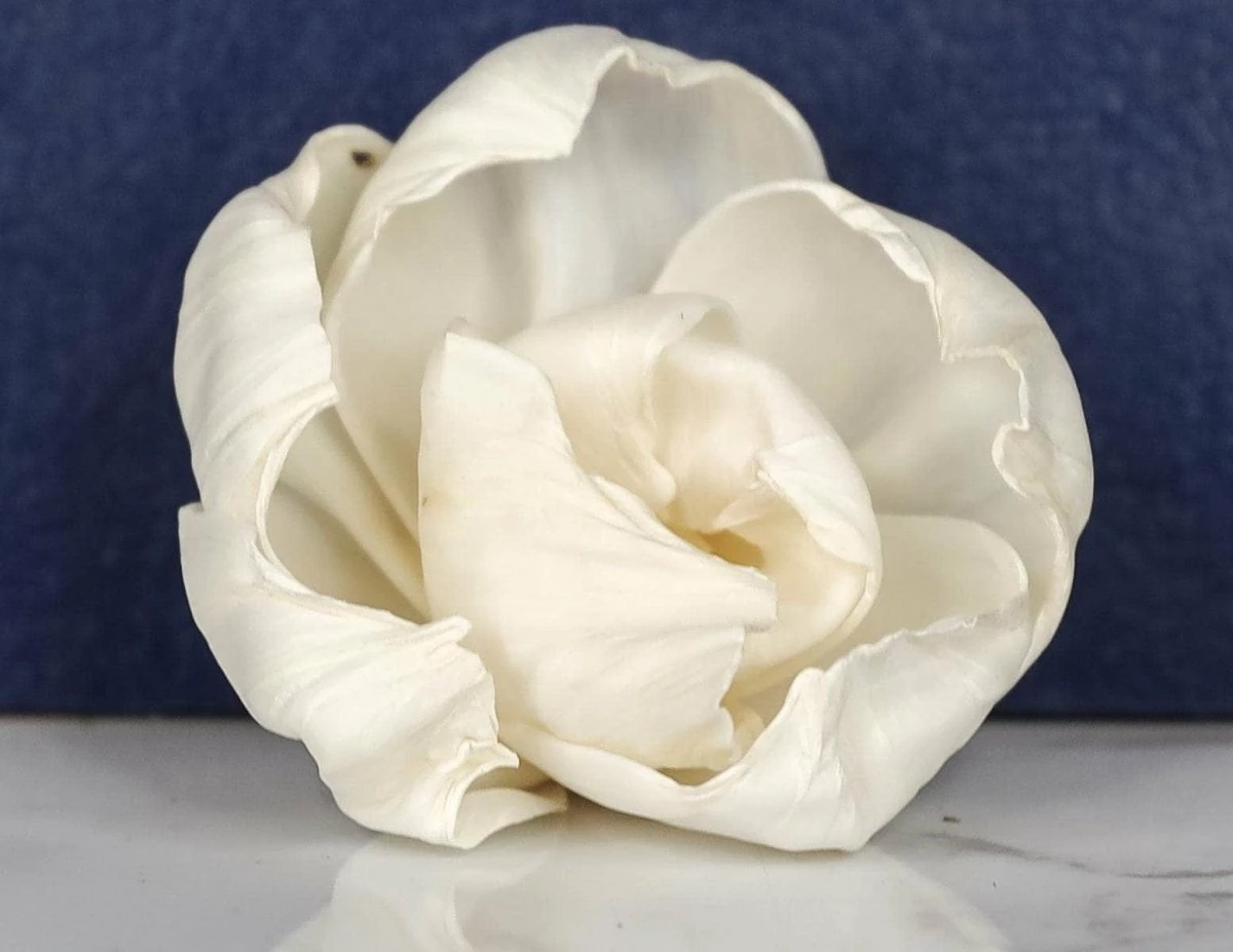 4" Lizzie (10 Pack) 4 4" Lizzie (10 Pack) - Image 4