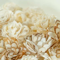 50 Random Assortment 13 50 Random Assortment -plant sale shop 50 random assortment 345869