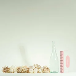 50 Random Assortment 16 50 Random Assortment -plant sale shop 50 random assortment 392646