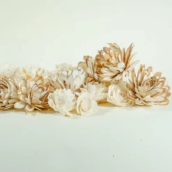 50 Random Assortment 15 50 Random Assortment -plant sale shop 50 random assortment 567037