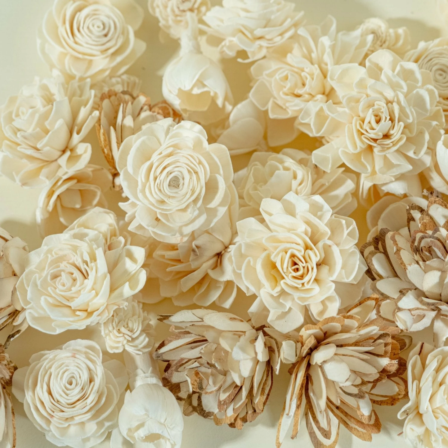 50 Random Assortment 2 50 Random Assortment - Image 2